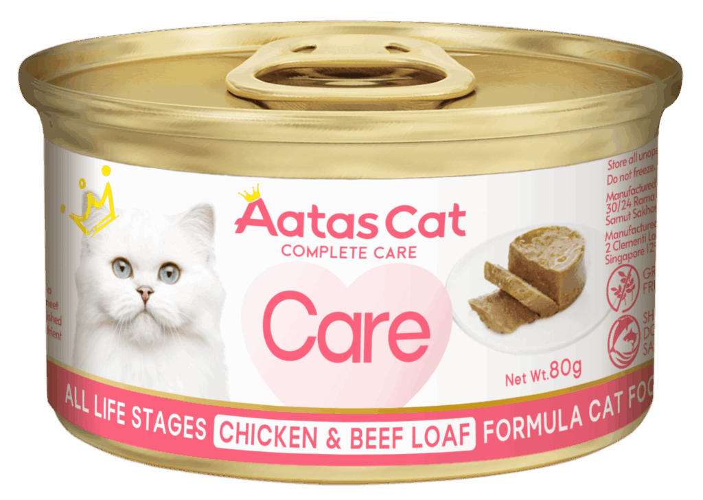 Chicken-Beef-Loaf-1