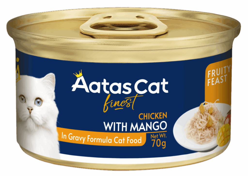 Chicken-with-Mango