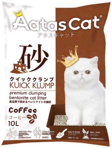 Coffee-1-e1654158900755