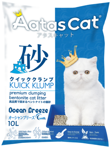Ocean-Breeze-e1654158953618