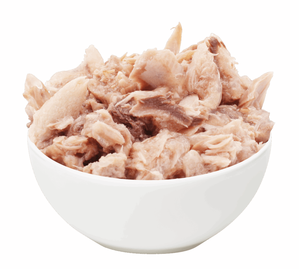 Tuna-Saba-3