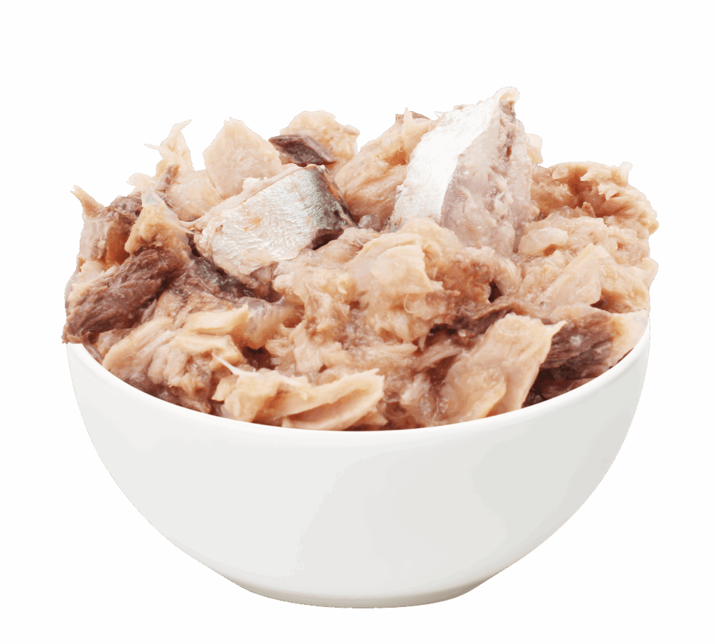 Tuna-Sardine-3