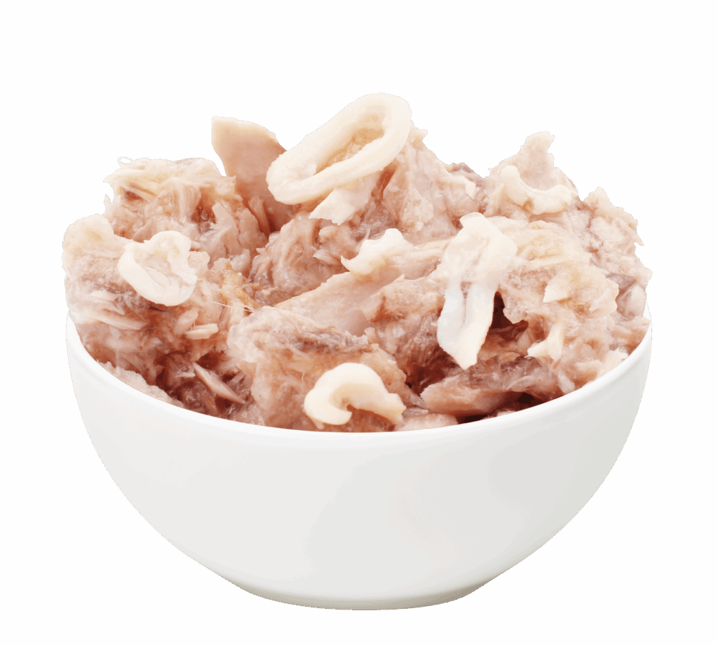 Tuna-Squid-2